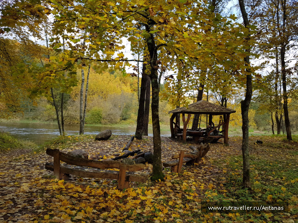 photo 1555032
