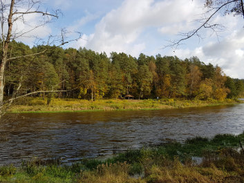 photo 1555041