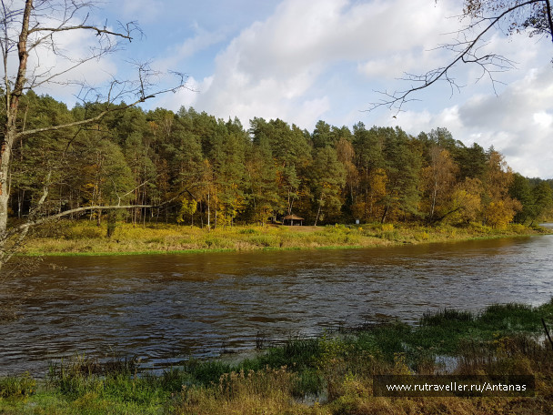 photo 1555041