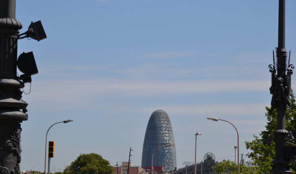 DSC_1916