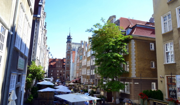 DSC_4321