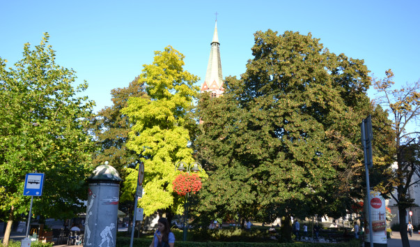 DSC_4022