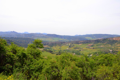 photo 1641266