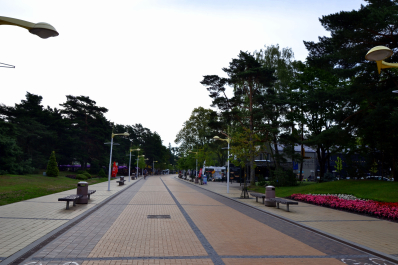 photo 1654832
