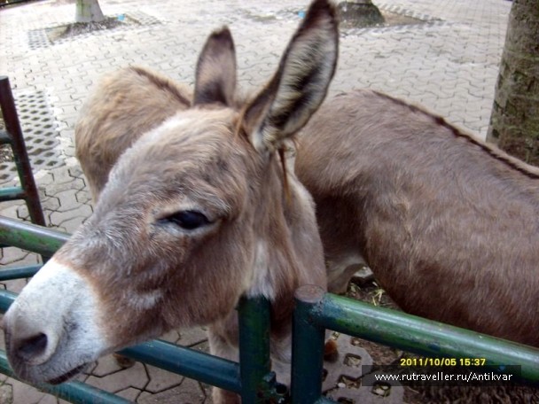 photo 70613