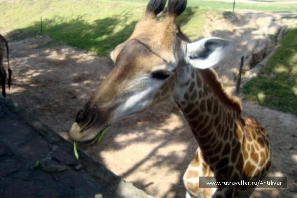 photo 70623