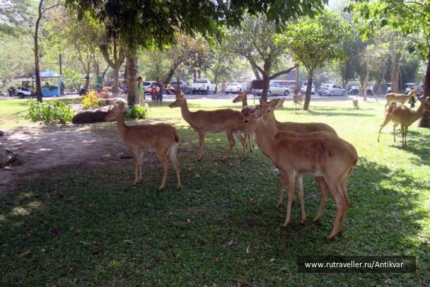 photo 70628