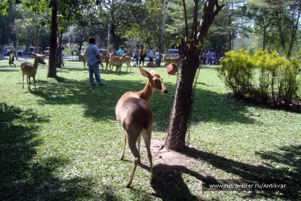 photo 70629