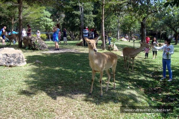 photo 70632