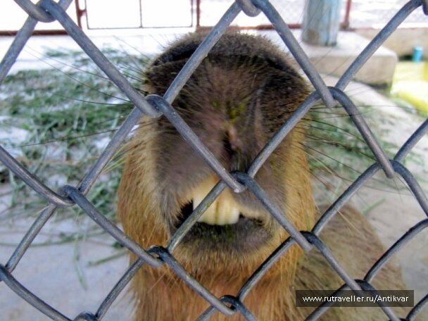 photo 70687