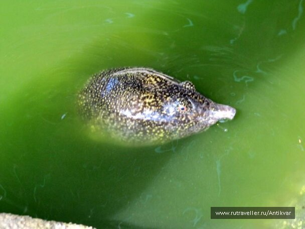 photo 70688