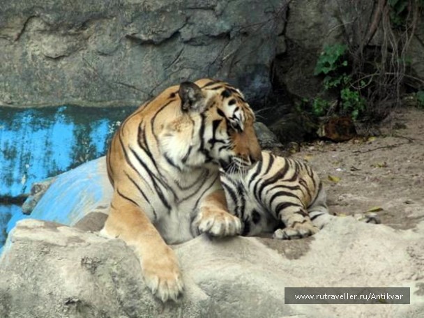 photo 70691
