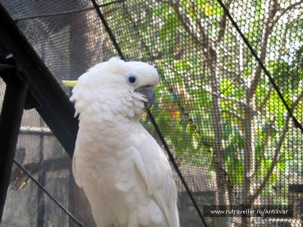 photo 70693