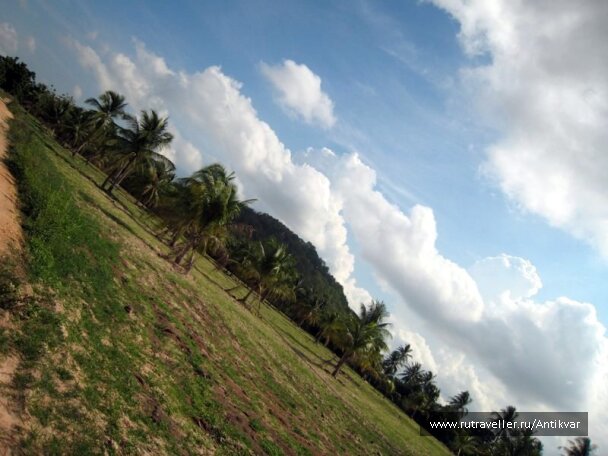 photo 70901