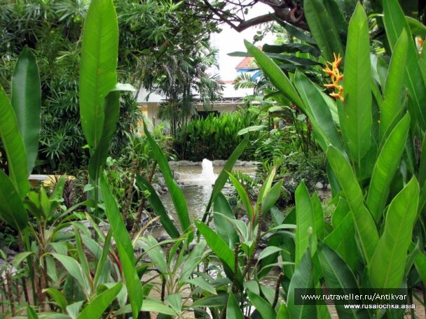 photo 134213