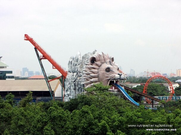 photo 134256