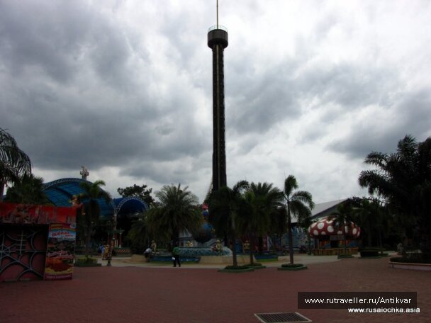 photo 134371