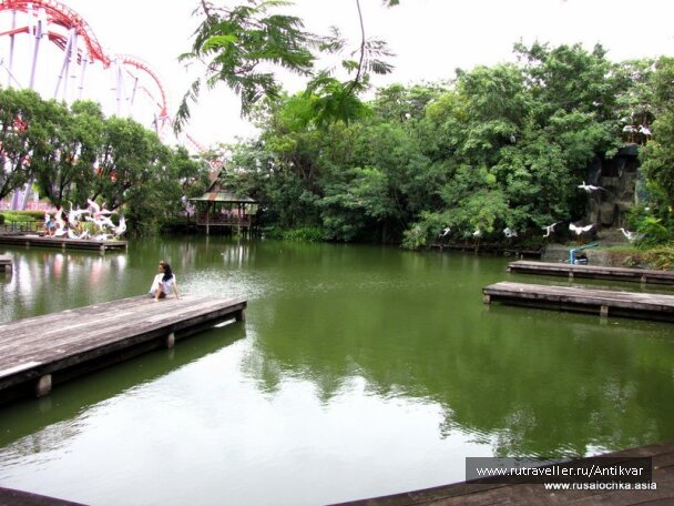 photo 134394