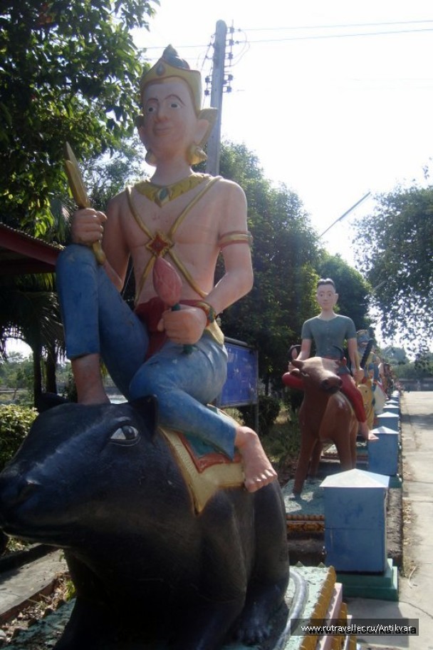 photo 151371