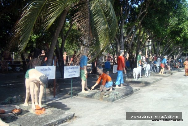 photo 151374