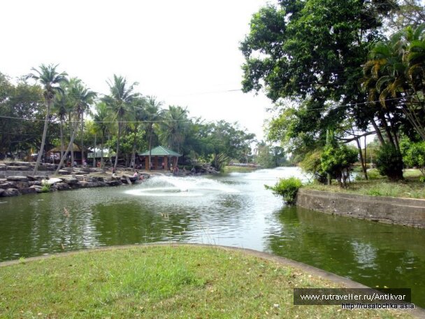 photo 152371