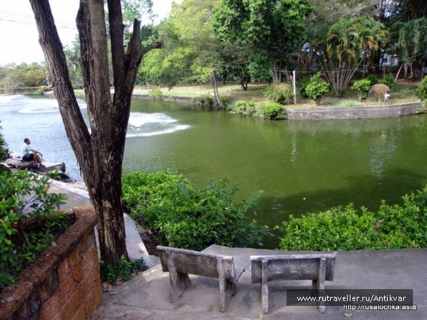 photo 152372