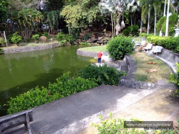 photo 152373