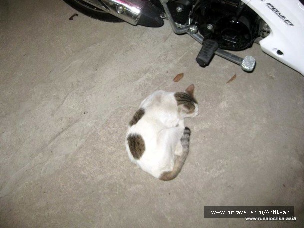 photo 166886