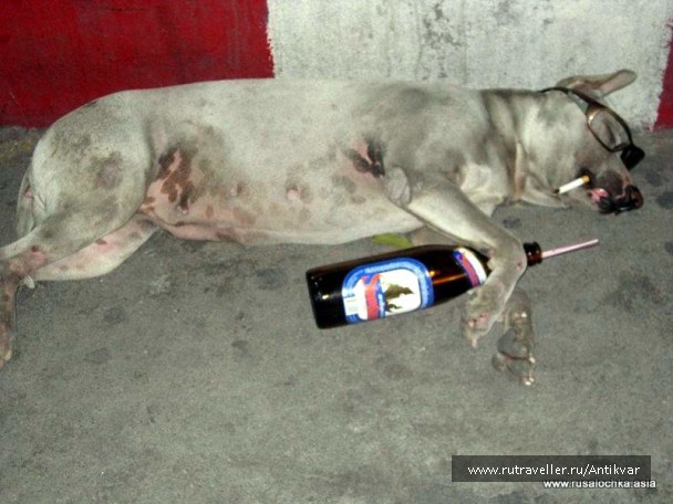 photo 166887
