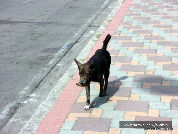photo 166911