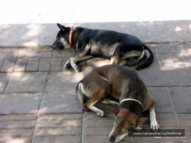 photo 166912