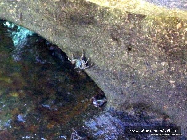 photo 166914