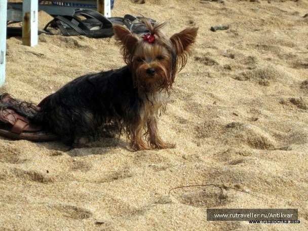 photo 166919