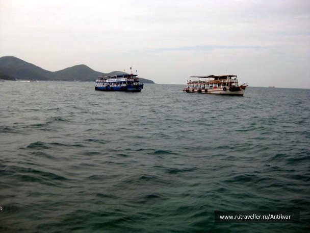 photo 174778