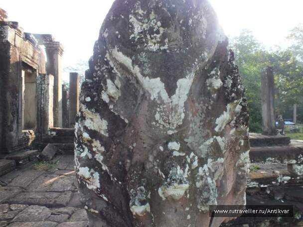 photo 194952