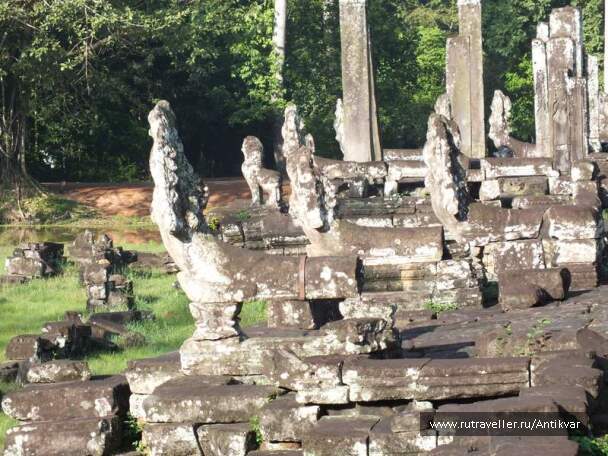 photo 194953