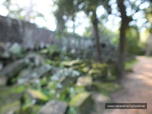 photo 194961