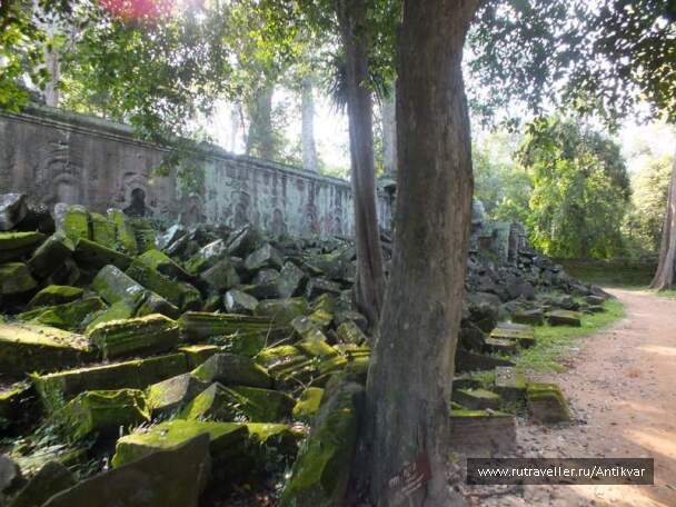 photo 194962