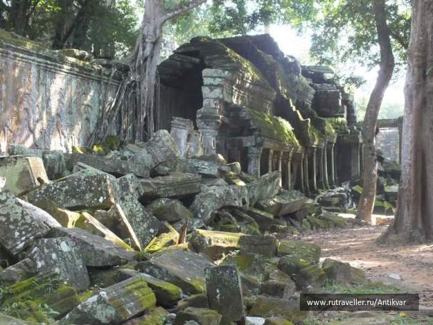 photo 194965