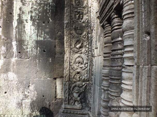 photo 195019