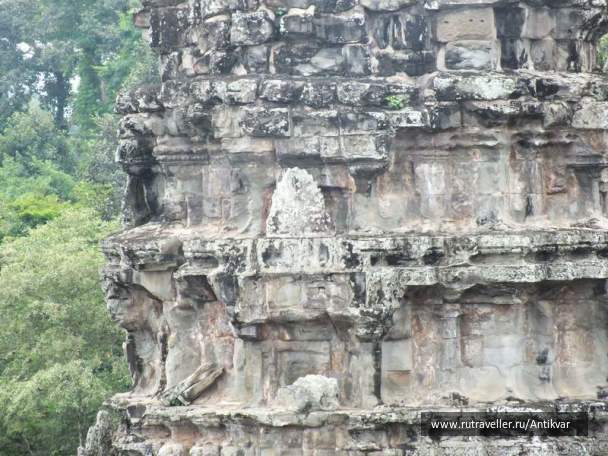 photo 195114