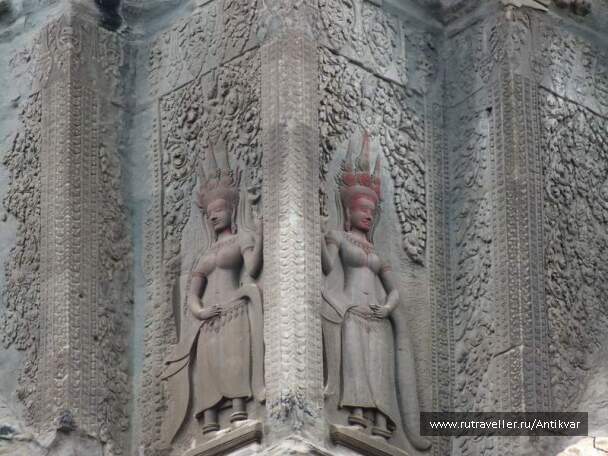 photo 195134