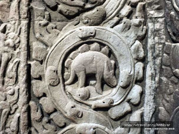 photo 195237