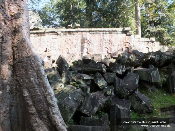photo 195255