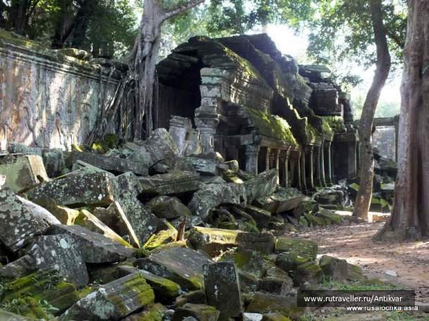 photo 195267