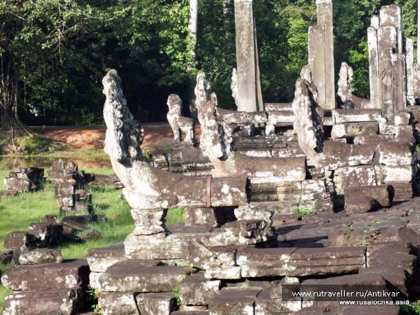 photo 195271