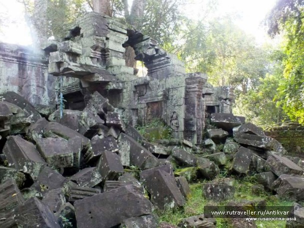 photo 195273