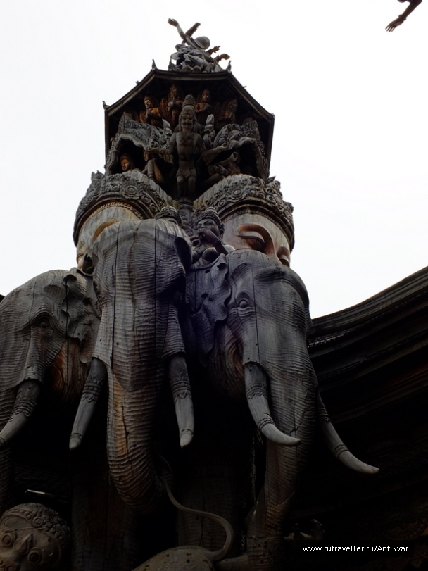 photo 1521215