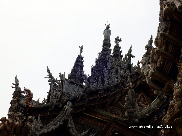 photo 1521250