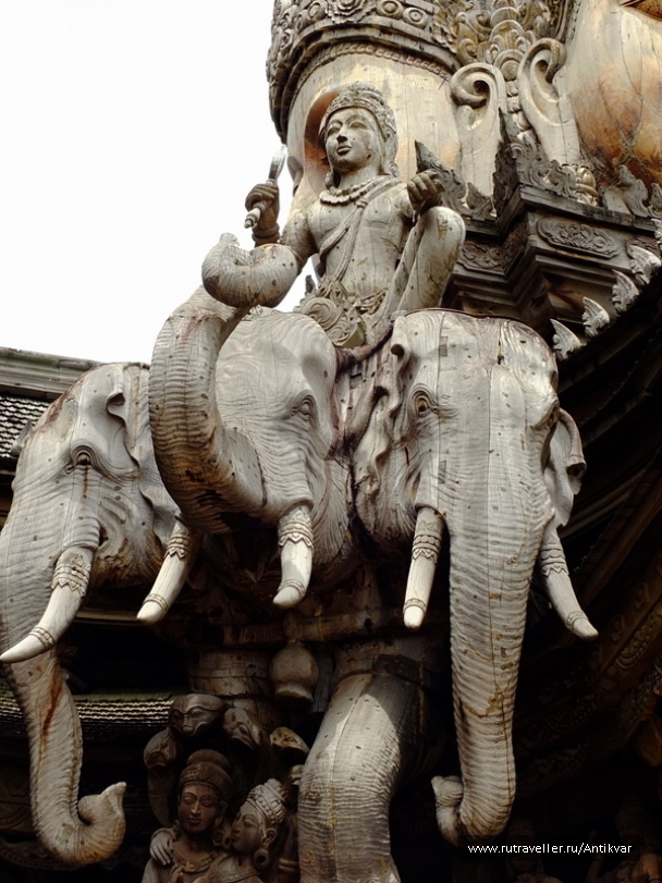 photo 1521255